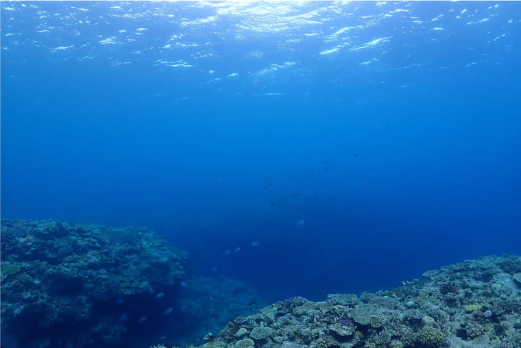 沖縄海底のミネラル豊富なクレイで汚れを吸着除去